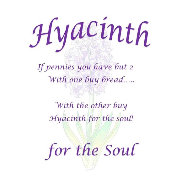 All the Fun Stuff We Women Love to Play With - Picture 3 of 4